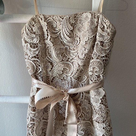 Adrianna Papell- Strapless, Laced Cocktail Dress- Sz 4 - Picture 5 of 8